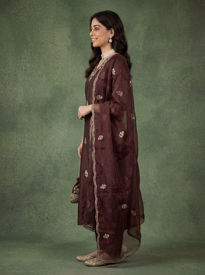 Brown Embroidered Cotton Kurta Pant Dupatta Set Women for Women