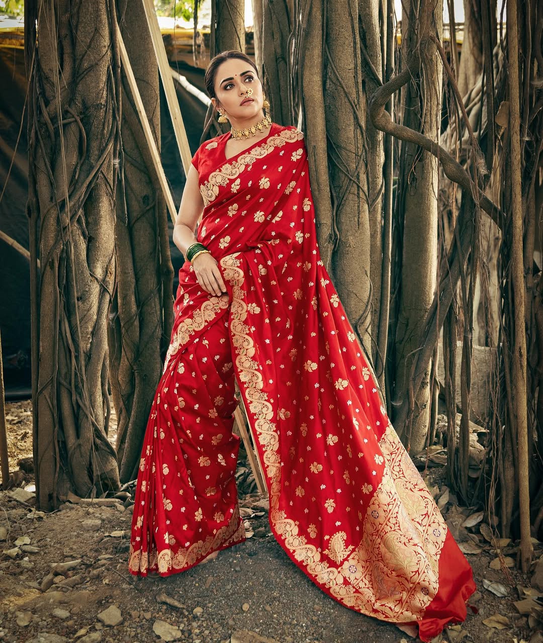 Red Banarasi Soft Silk Zari Weave Sareee