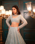 Pastel Grey Embroidered Butterfly Net Lehenga Set