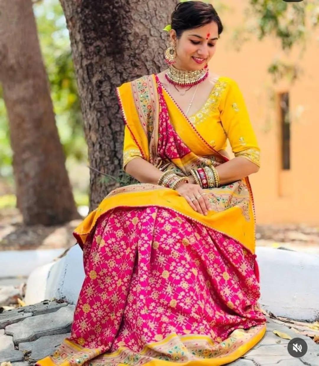 Pink Soft Pashmina Silk Printed Saree With Patola Border for Women