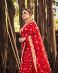 Royal Red Silk Saree with Golden Zari Heritage Weave