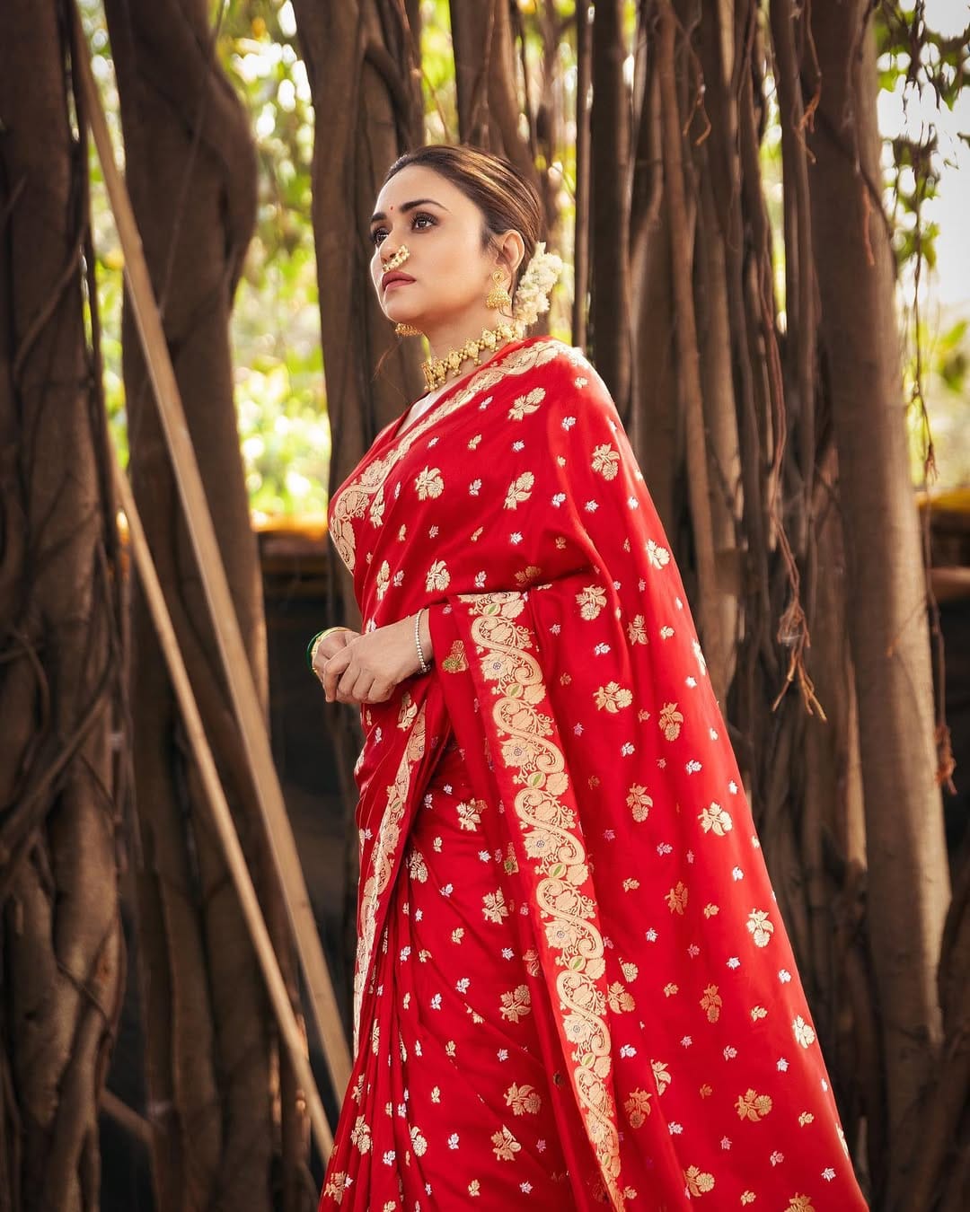 Royal Red Silk Saree with Golden Zari Heritage Weave