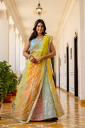 Starfall Luxe Sequin Georgette Lehenga